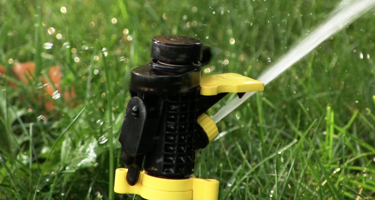 watering a lawn