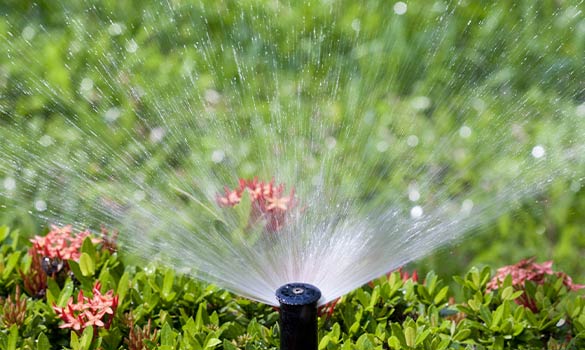 Irrigation Installation Blythewood, Columbia SC 