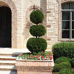 Landscaping Irmo SC