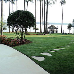 Landscaping Forest Acres SC