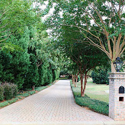 Commercial Landscape Maintenance Irmo SC